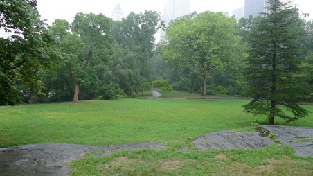 Enlarge photo 16