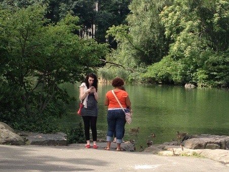 Enlarge photo 23