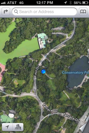 Central Park - Trefoil Arch Area
