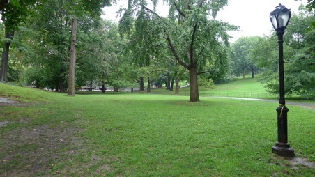 Enlarge photo 3