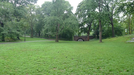 Enlarge photo 10