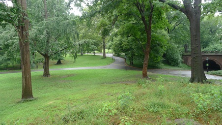 Enlarge photo 13