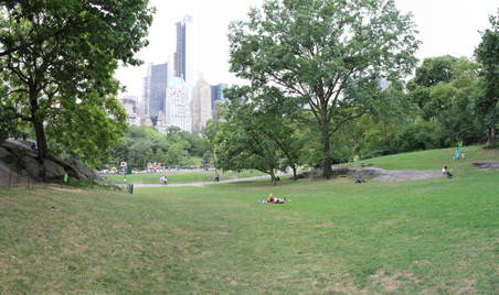 Enlarge photo 2