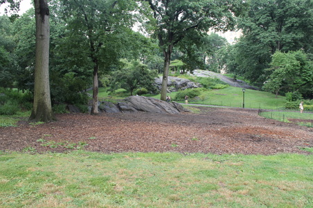 Enlarge photo 16