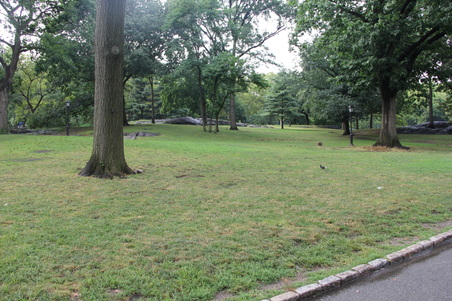 Enlarge photo 13