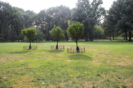 Enlarge photo 3
