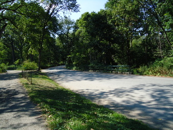 Enlarge photo 22