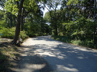 Enlarge photo 23