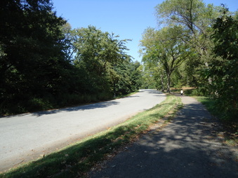 Enlarge photo 24