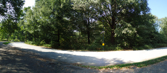 Enlarge photo 13