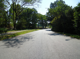 Enlarge photo 14