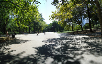 Enlarge photo 2