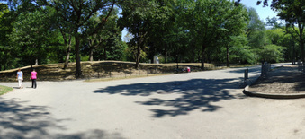 Enlarge photo 4