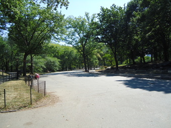 Enlarge photo 29