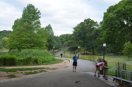Enlarge photo 5
