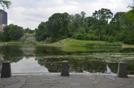 Enlarge photo 11