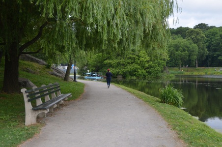 Enlarge photo 37