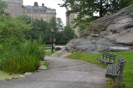 Enlarge photo 46