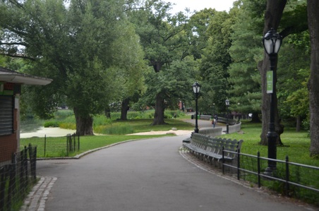 Enlarge photo 51