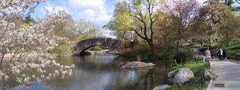 Enlarge photo 2