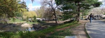 Enlarge photo 5