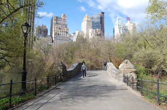 Enlarge photo 6