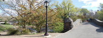 Enlarge photo 10
