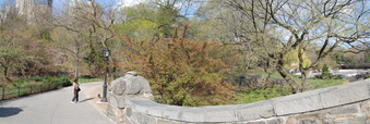Enlarge photo 11