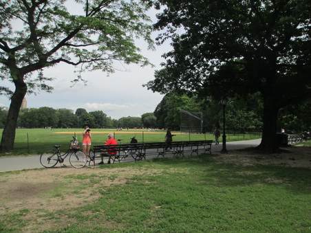 Enlarge photo 16
