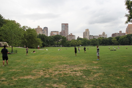 Enlarge photo 3