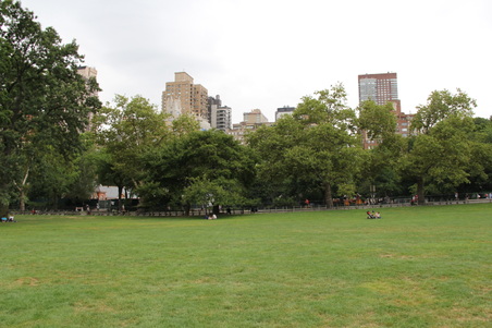 Enlarge photo 11