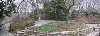 Enlarge photo 12