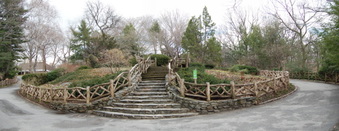 Enlarge photo 15