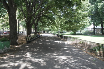 Enlarge photo 7