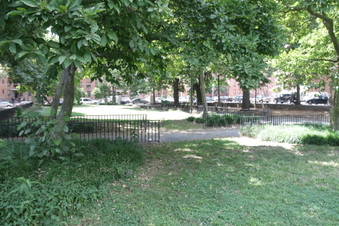 Enlarge photo 15
