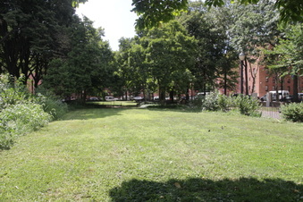 Enlarge photo 16