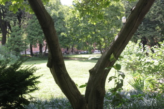 Enlarge photo 17