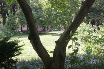 Enlarge photo 18