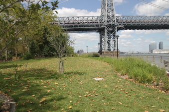 Enlarge photo 21