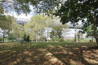 Enlarge photo 23
