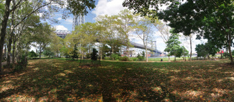 Enlarge photo 17