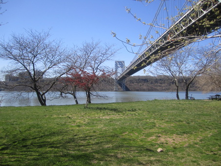 Enlarge photo 28