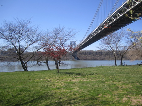 Enlarge photo 25