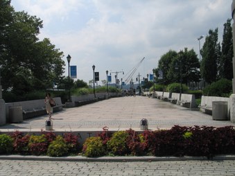 Enlarge photo 41
