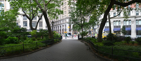 Enlarge photo 54