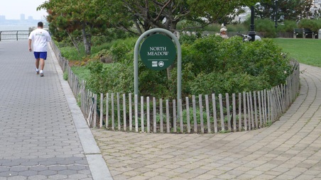 Nelson Rockefeller Park-BPC