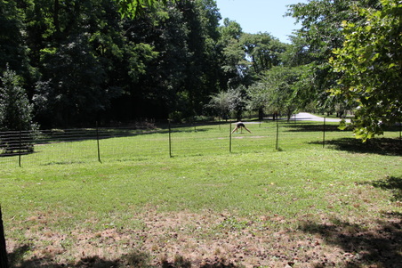 Enlarge photo 6