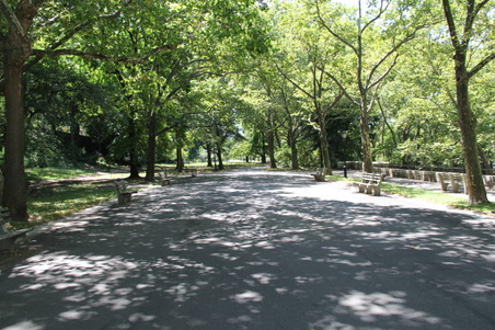 Enlarge photo 9