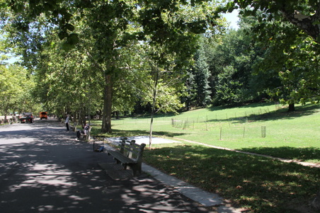 Enlarge photo 20