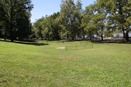 Enlarge photo 22